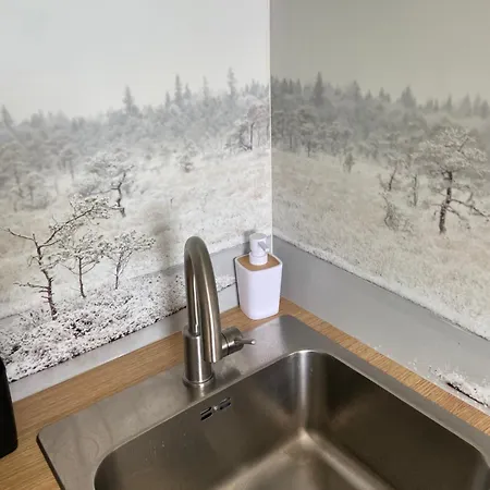 アパート Myroom In Stroomi Area タリン