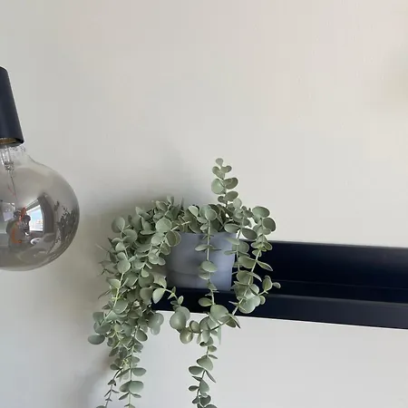 Myroom In Stroomi Area Tallinn